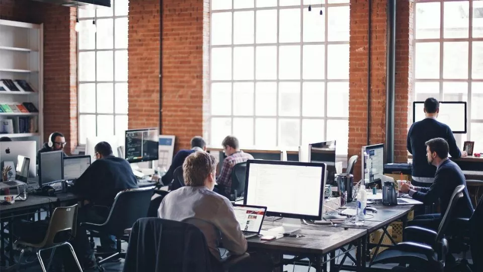 Как выбрать веб-студию в Зее по кейсам