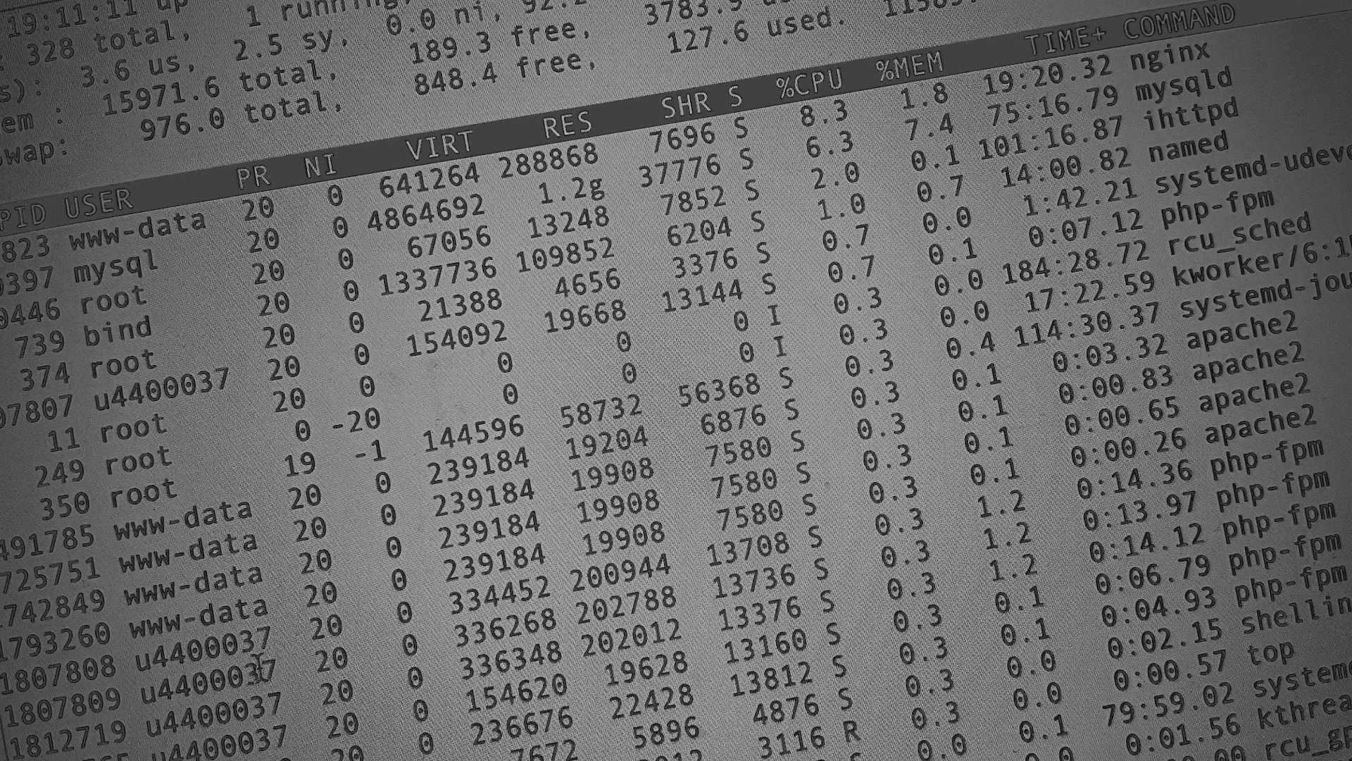 Настройка сервера в Зее