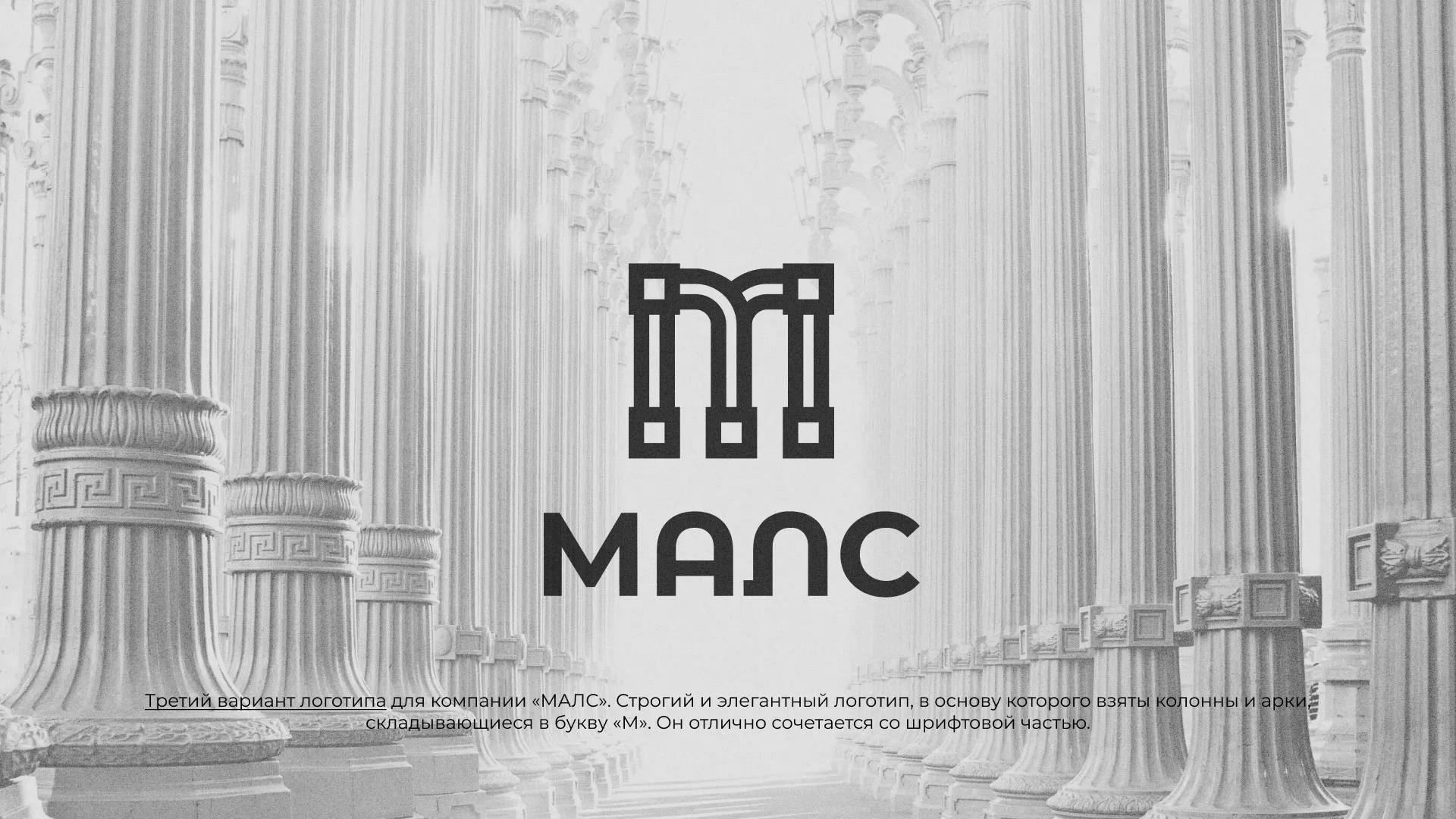 Разработка логотипа компании «МАЛС» в Зее