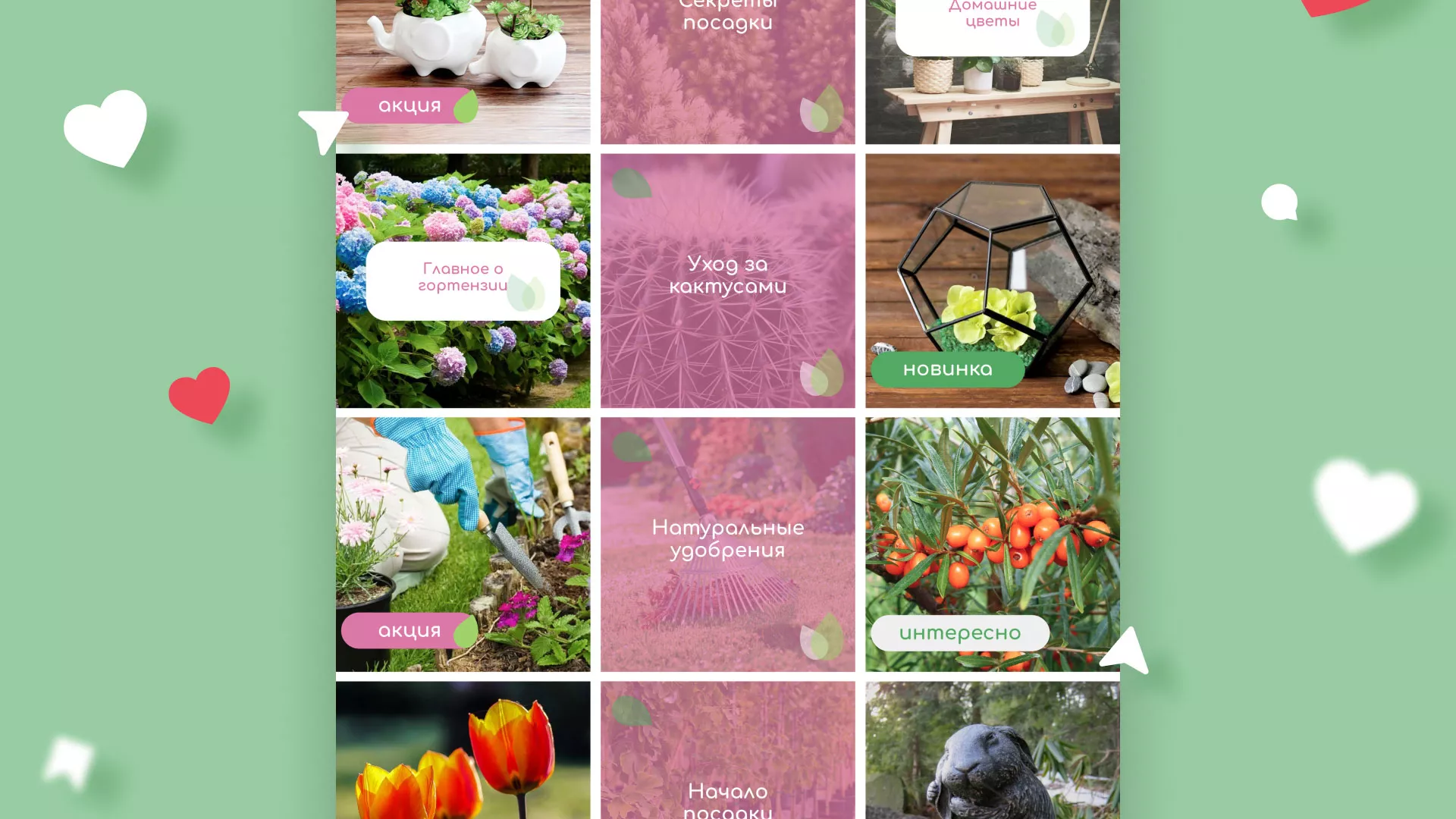 Разработка оформления профиля Instagram для магазина «Floraint» в Зее