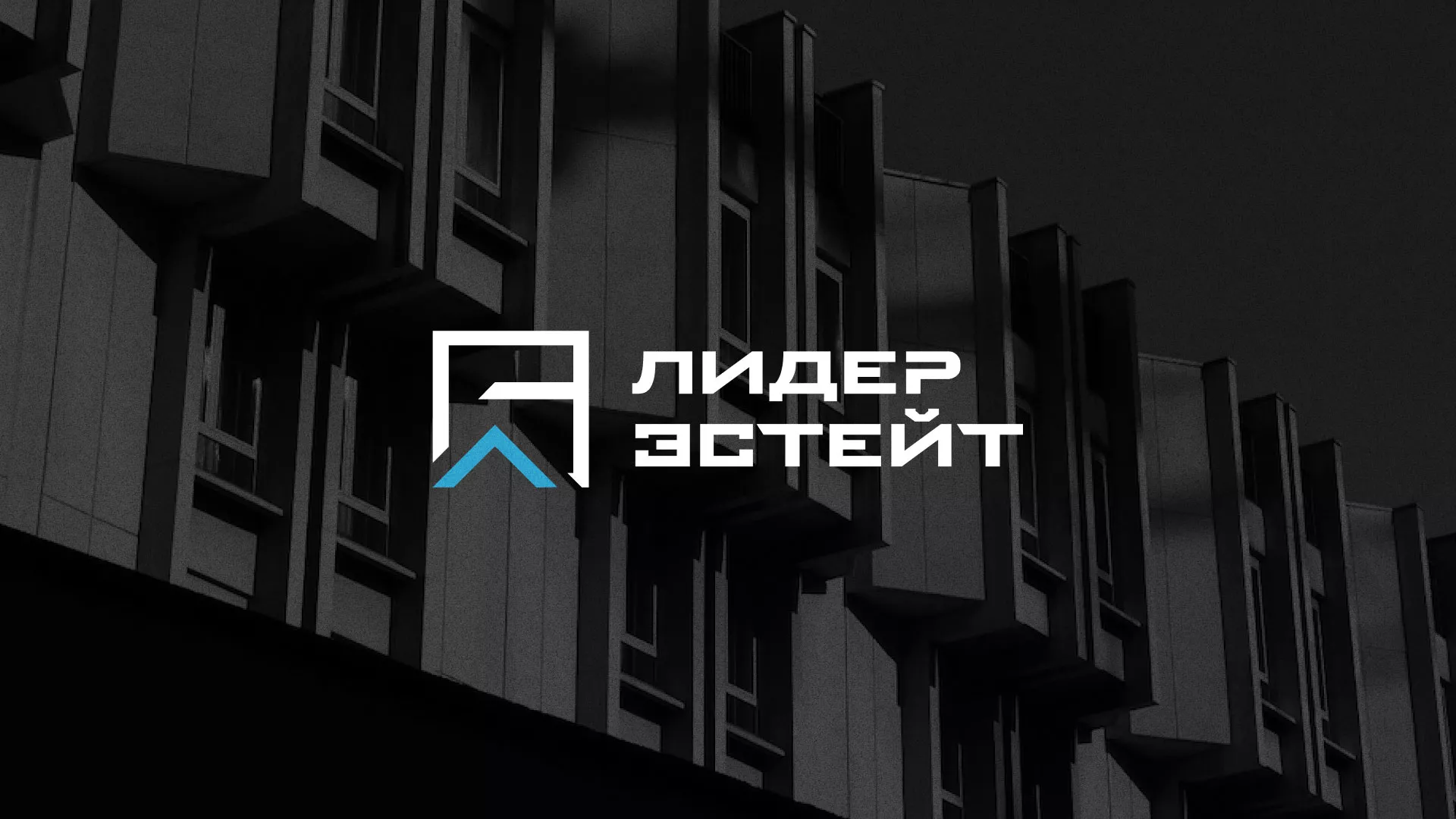 Разработка логотипа агентства недвижимости «Лидер Эстейт» в Зее