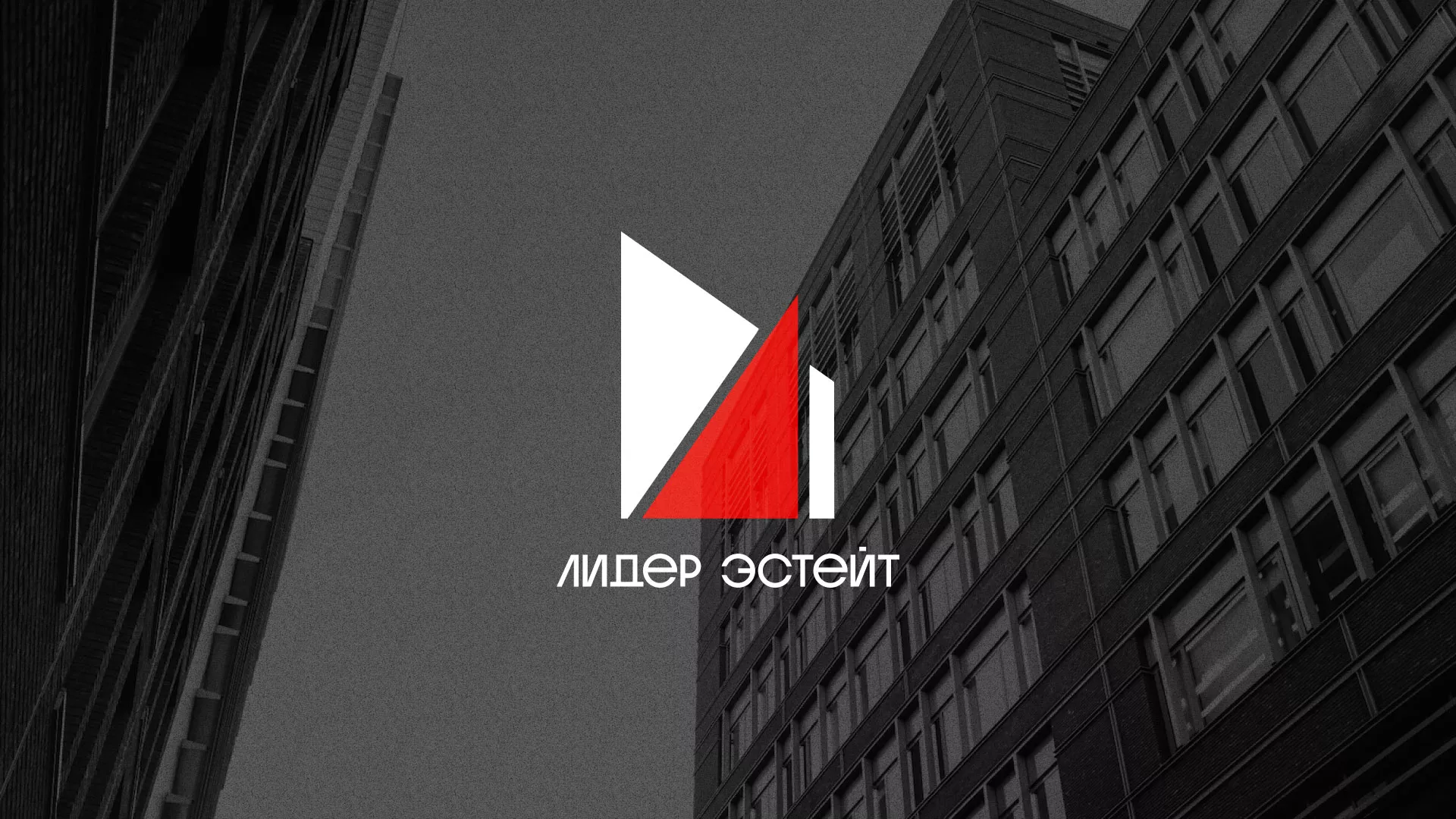 Сделали логотип для агентства недвижимости «Лидер Эстейт» в Зее